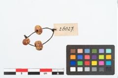 Foto von Bernsteinperle (NHMW-PRAE-026027)